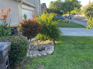 Bush Trimming by Wiley Douglas for Candy W. in Stockton, CA