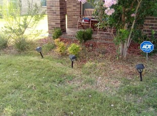Weeding by Tyler Humphrey for Marques D. in Azle, TX