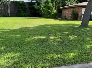 Shelby T.'s Lawn Service service result
