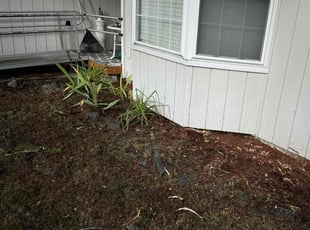 Weeding by Abel Flores Reyes for Curtis P. in Spanaway, WA