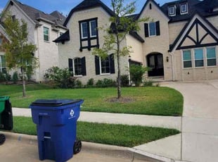 Suzanne S.'s Lawn Care service result