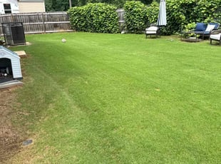 Cheron C.'s Lawn Mowing Service service result