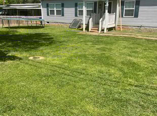 Alfreda C.'s Lawn Mowing service result