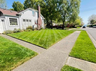 Renee B.'s Lawn Service service result