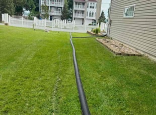 Doh K.'s Lawn Mowing service result