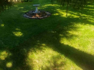 Marlynn H.'s Lawn Care service result