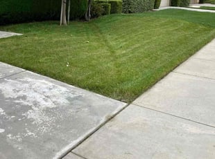 Misty H.'s Lawn Maintenance service result