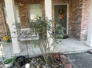 Bush Trimming by Ron & Marie Gray for Elizabeth R. in San Antonio, TX