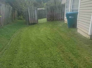 Tamera D.'s Lawn Maintenance service result