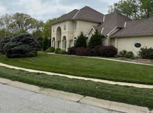 Syd H.'s Lawn Care service result