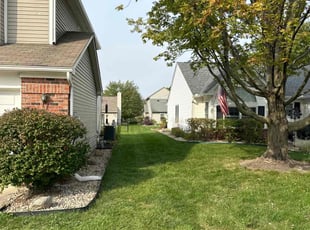 Artamease G.'s Grass Cutting service result