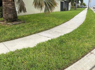 Frank C.'s Lawn Care service result