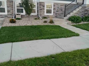 Weeding by Kevin Rhyne for Isabel P. in Fitchburg, WI