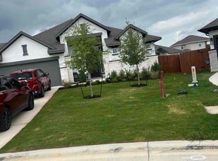 Laura W.'s Lawn Mowing service result