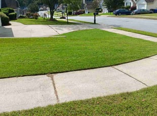 The M.'s Grass Cutting service result