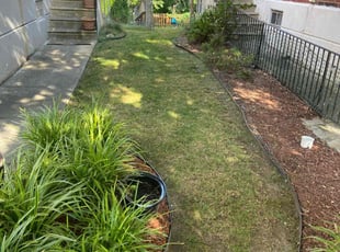 Carol G.'s Lawn Mowing service result