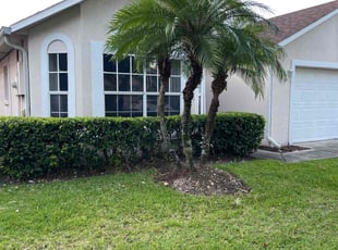 Bush Trimming by Withman Herrera for Svetlana B. in Orlando, FL