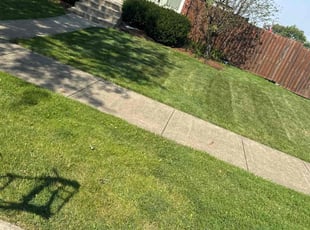 Damon S.'s Lawn Mowing service result