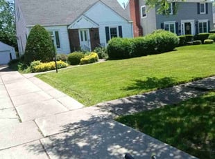 Alfredo C.'s Lawn Mowing service result