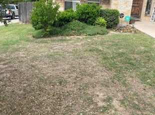 Weeding by Bradley Matthiesen for Danielle E. in Boerne, TX