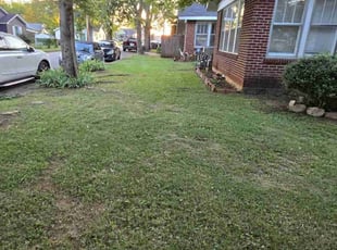 Chris A.'s Lawn Service service result