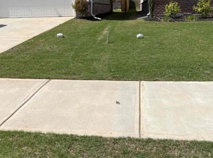 Pam F.'s Lawn Mowing Service service result