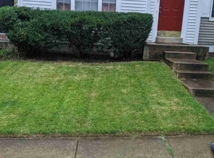 Bush Trimming by Roscoe Carr for Kristy T. in Montclair, VA