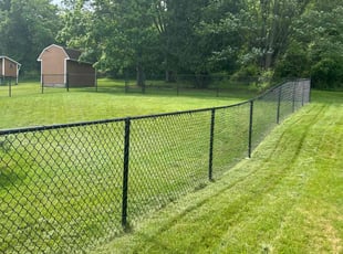 Dandi D.'s Grass Cutting service result