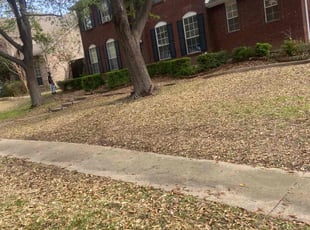 Bush Trimming by Shameem Mohmand for Nina S. in Coppell, TX
