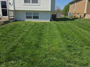 Donald H.'s Lawn Mowing Service service result