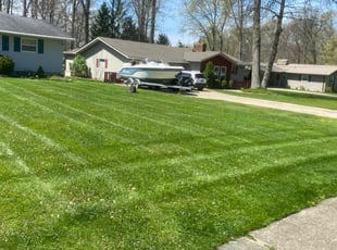 Carlos O.'s Yard Cutting service result