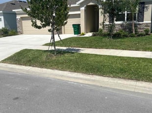 Darrell W.'s Lawn Mowing service result