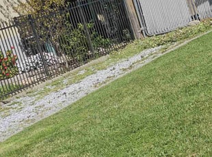 Weeding by Juan Rodriguez for Carrie V. in Rio Linda, CA