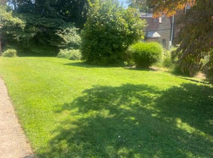Patricia K.'s Lawn Mowing service result