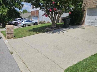 Latanya F.'s Lawn Mowing service result
