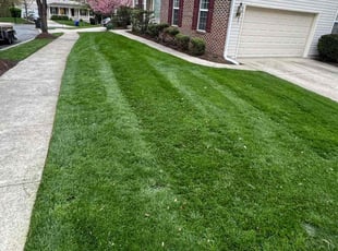 Barbara L.'s Lawn Service service result