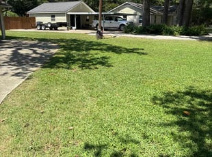 Rosilene B.'s Yard Cutting service result