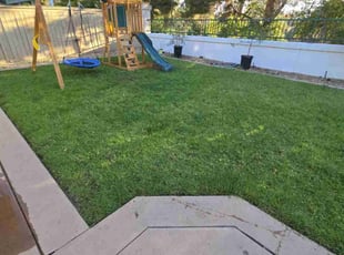 Meghan V.'s Grass Cutting service result