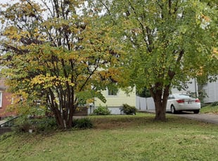 Leaf Removal by Robert Westwood for Marjie B. in Louisville, KY