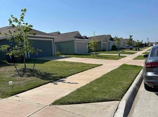 Sandra V.'s Lawn Mowing Service service result