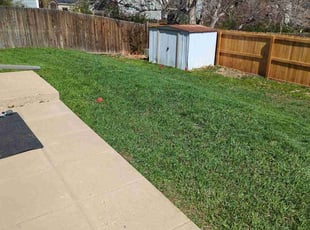 Anthony c.'s Lawn Mowing Service service result
