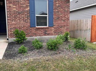 Weeding by Marcus Ward for Kannan K. in New Braunfels, TX