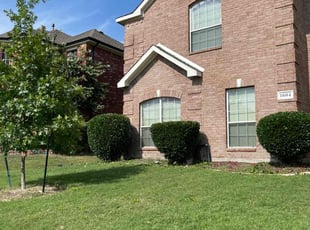 Bush Trimming by Timothy Hayes for Gregory A. in DeSoto, TX