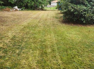 Chandrakala T.'s Lawn Maintenance service result