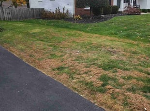 Leaf Removal by Edward Mauler for Felicia M. in Columbus, OH