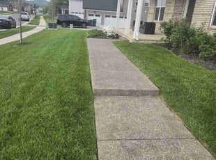 Seethal H.'s Yard Cutting service result