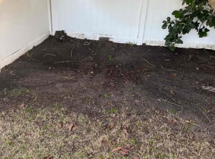 Leaf Removal by Jerry Calhoun for Kenneth R b. in Davenport, FL