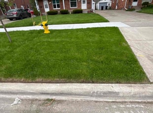 Ron S.'s Lawn Care service result