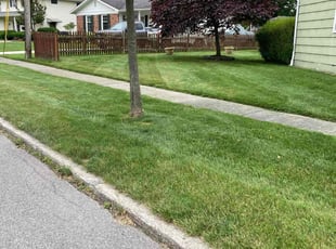 Laurie S.'s Lawn Care service result