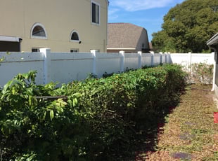 Bush Trimming by Kareem Rhodd for Willette S. in Land O' Lakes, FL